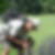 Profilbild von Malick Steven Loum