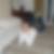 Profilbild von Rea Buchli