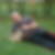 Profilbild von Marcel Honegger