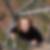 Profilbild von Claudia Diltz