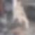 Profilbild von Martin Waespe