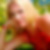 Profilbild von Denise Francescutto