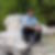 Profilbild von Beat Schmid
