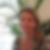 Profilbild von Andrea Rebekka Zettel