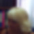 Profilbild von Silvana Adamo