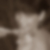 Profilbild von Susi Wild