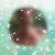 Profilbild von Edith Hagist
