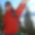 Profilbild von Thomas Widmer