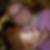 Profilbild von Carmen Graf