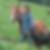 Profilbild von Ernst Olivia