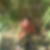 Profilbild von Roland Notter