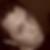 Profilbild von Davide Bruno