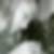 Profilbild von Nicole Gyr
