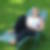 Profilbild von Beatrice Krähenmann