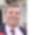 Profilbild von Marco Triolo