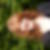 Profilbild von Pascale Claus