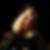 Profilbild von Sabrina Winter