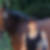 Profilbild von Alexandra Probst