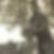 Profilbild von Manfred Frick