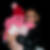 Profilbild von Tina Knecht-Strasser