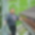 Profilbild von Christoph Mittner 