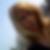 Profilbild von Sarah Voit