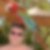 Profilbild von Daniel Naef