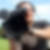 Profilbild von Peter Steger
