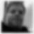 Profilbild von Moritz Höfer
