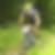 Profilbild von Marco Quinter