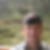 Profilbild von Martin von Felten