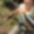 Profilbild von Verena Strickler