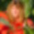 Profilbild von Cordula Guillet