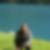 Profilbild von Hanspeter Buff