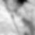 Profilbild von Bernhard Kummer