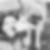 Profilbild von Marion Schellenberg