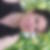 Profilbild von Angela Jud