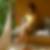 Profilbild von Beatrix Rudin
