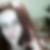 Profilbild von Sylvia Meyer