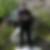 Profilbild von Mark Binggeli