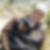 Profilbild von Michael Scheidegger
