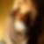 Profilbild von Layla Greber