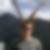 Profilbild von Michael Hotz