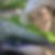 Profilbild von Nadia Flury