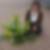 Profilbild von Angelika Schafroth