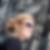 Profilbild von Isa Curty