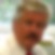 Profilbild von Hans-Peter Brauchli