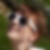 Profilbild von Simona Zweifel