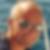 Profilbild von Willy Binggeli