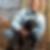 Profilbild von Helen Wili